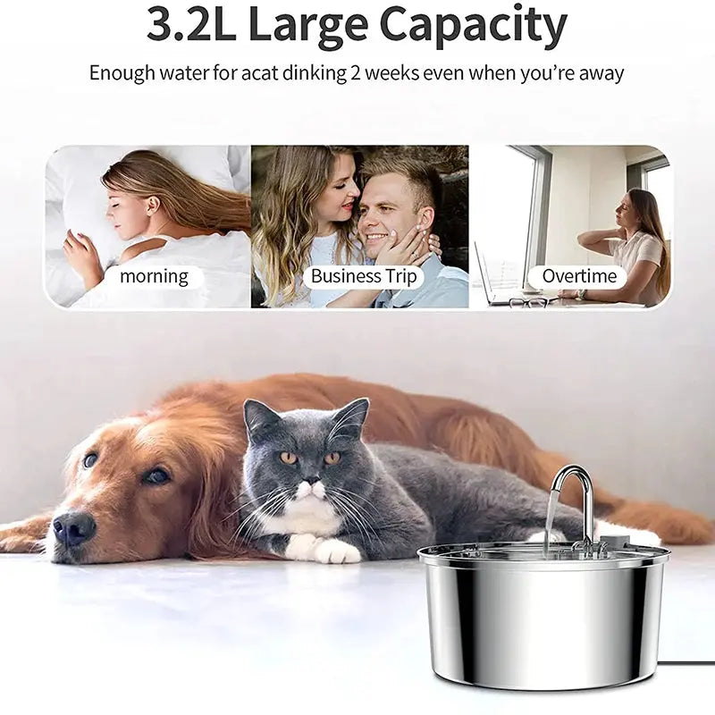 3.2L Cat Automatic Water Dispenser WagZeal