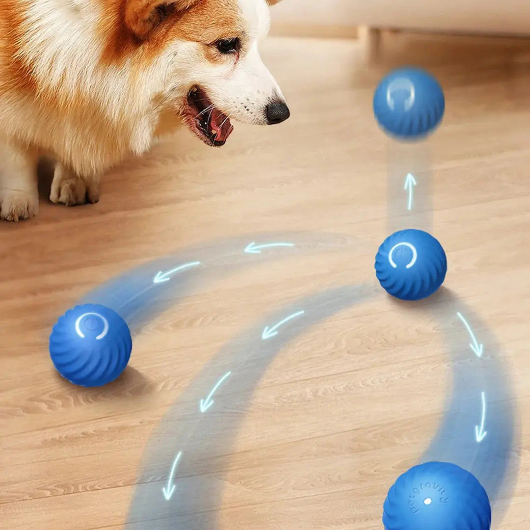 Smart Dog Toy Ball | Automatic Moving And Bouncing WagZeal