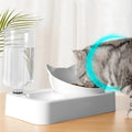 Cat Feeder 2-in-1 WagZeal