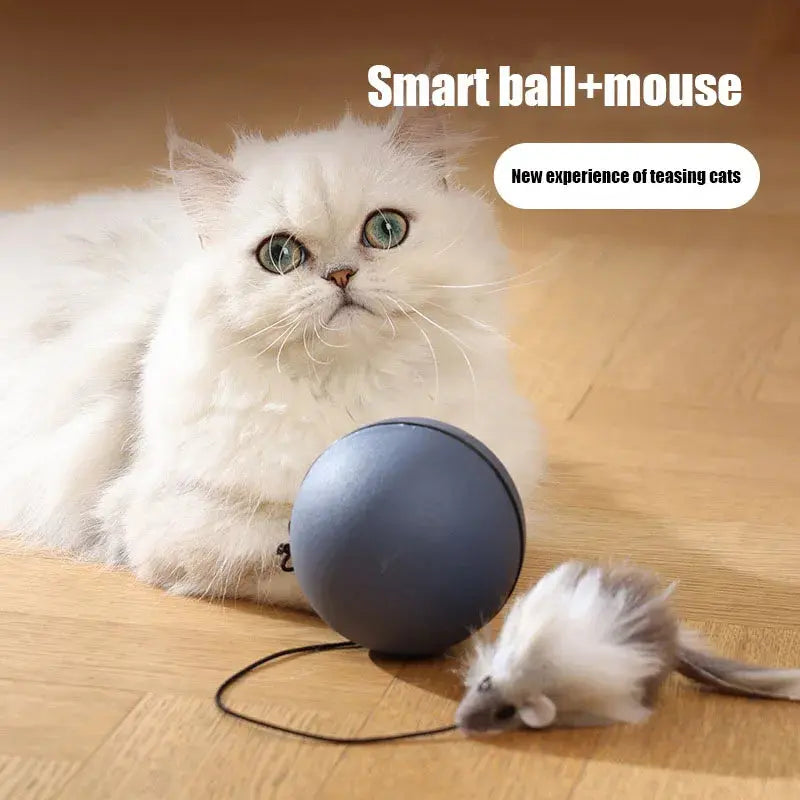 Cat Teaser Ball  | Mouse WagZeal