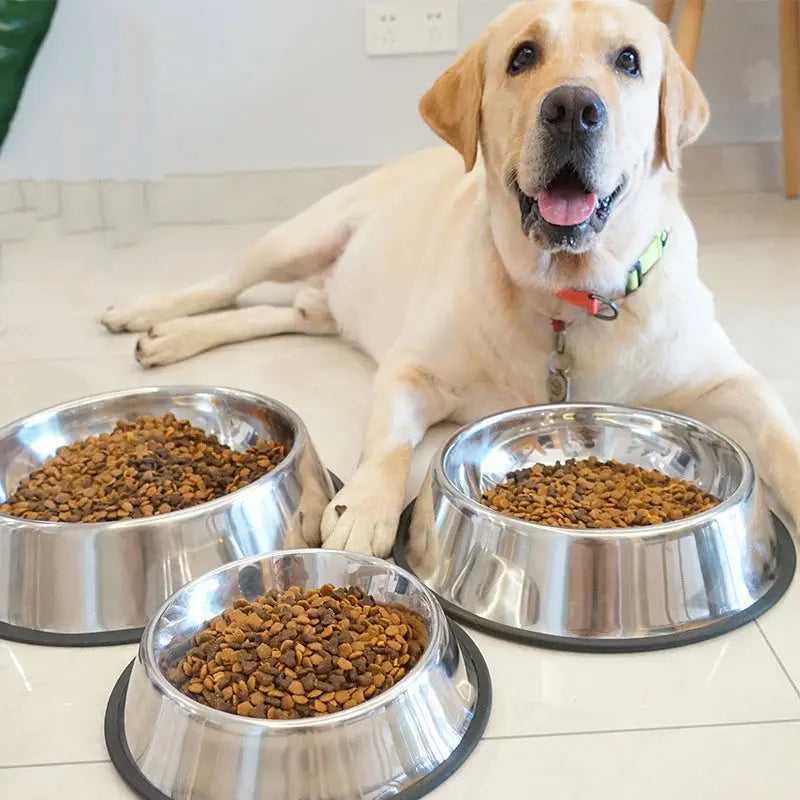 Stainless Steel  Pet  Bowls | Dogs | Cats WagZeal