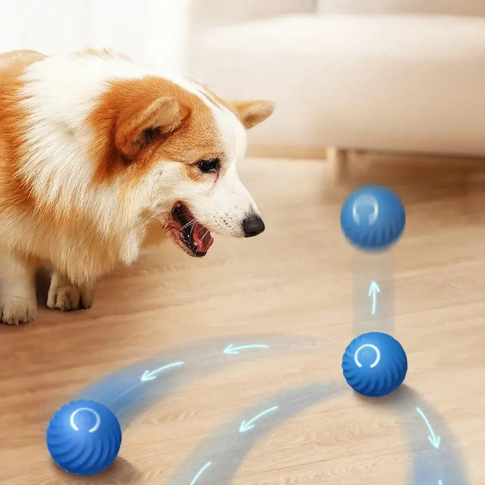 Smart Dog Toy Ball WagZeal