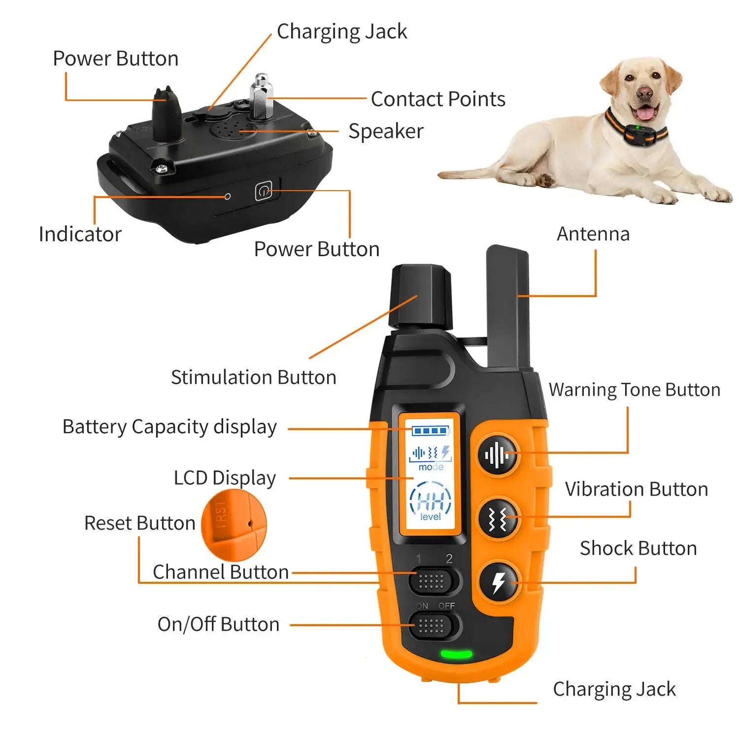 Remote Control Electric Dog Training Collar | 3300Ft WagZeal