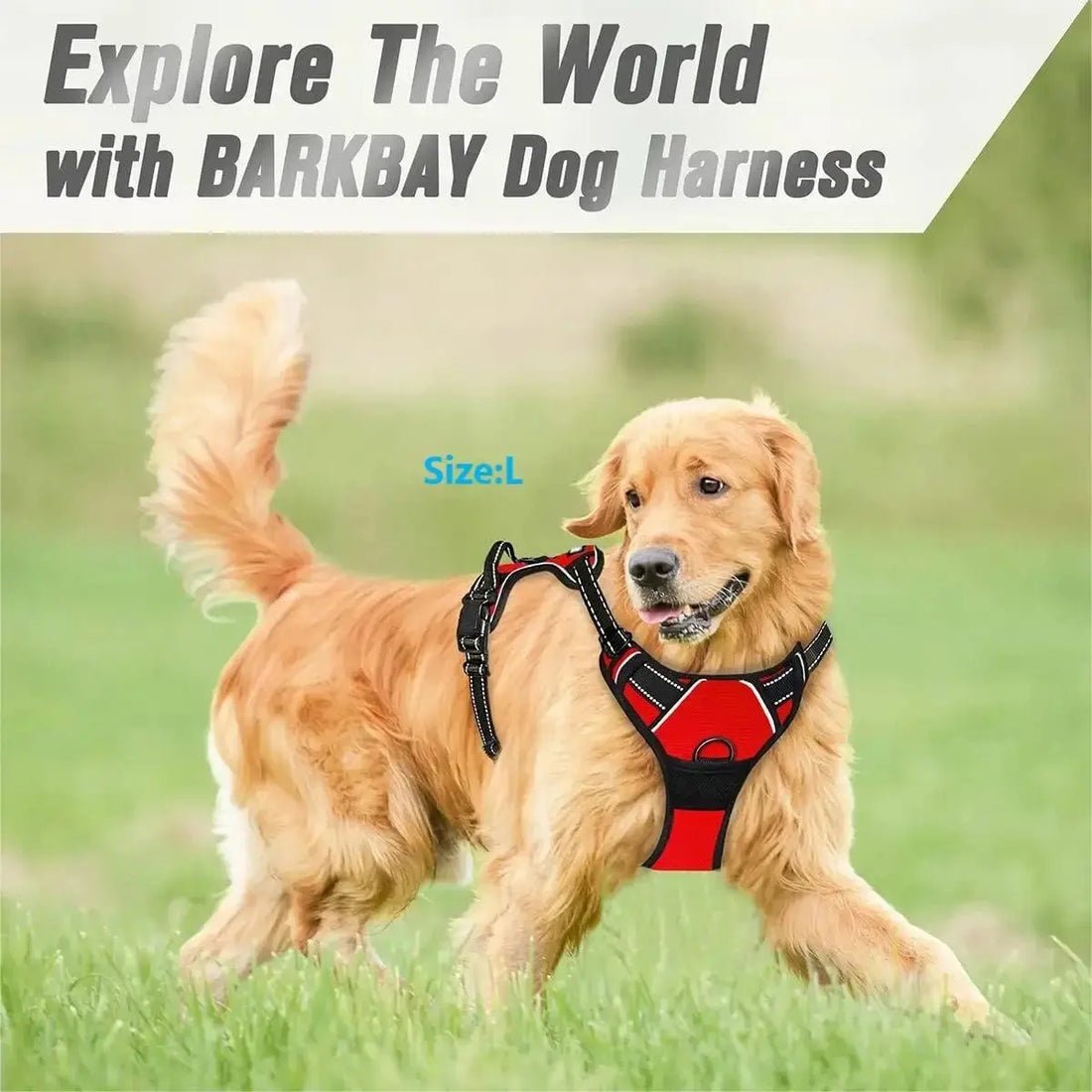 Dog Harness No Pull |  Easy Control WagZeal