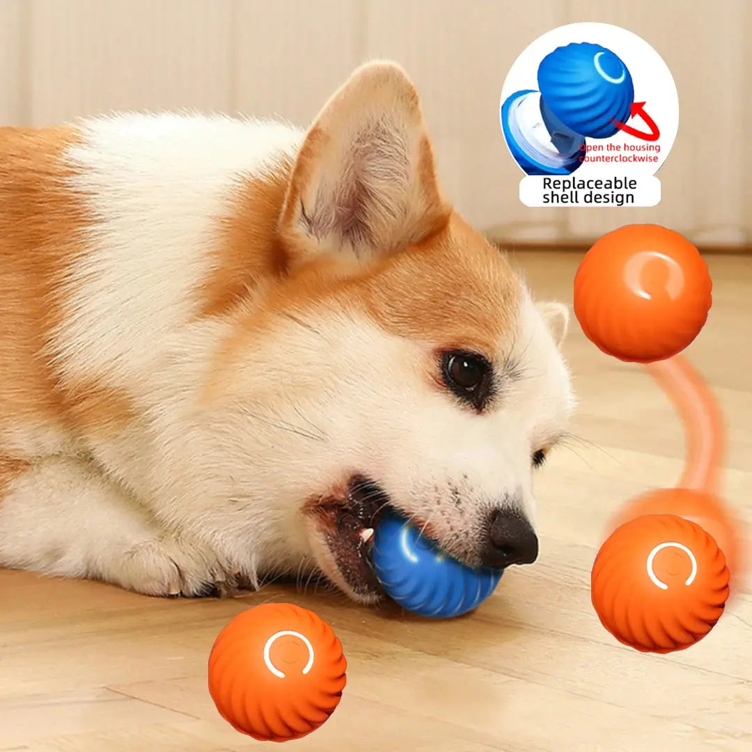 Smart Dog Toy Ball | Automatic Moving And Bouncing WagZeal