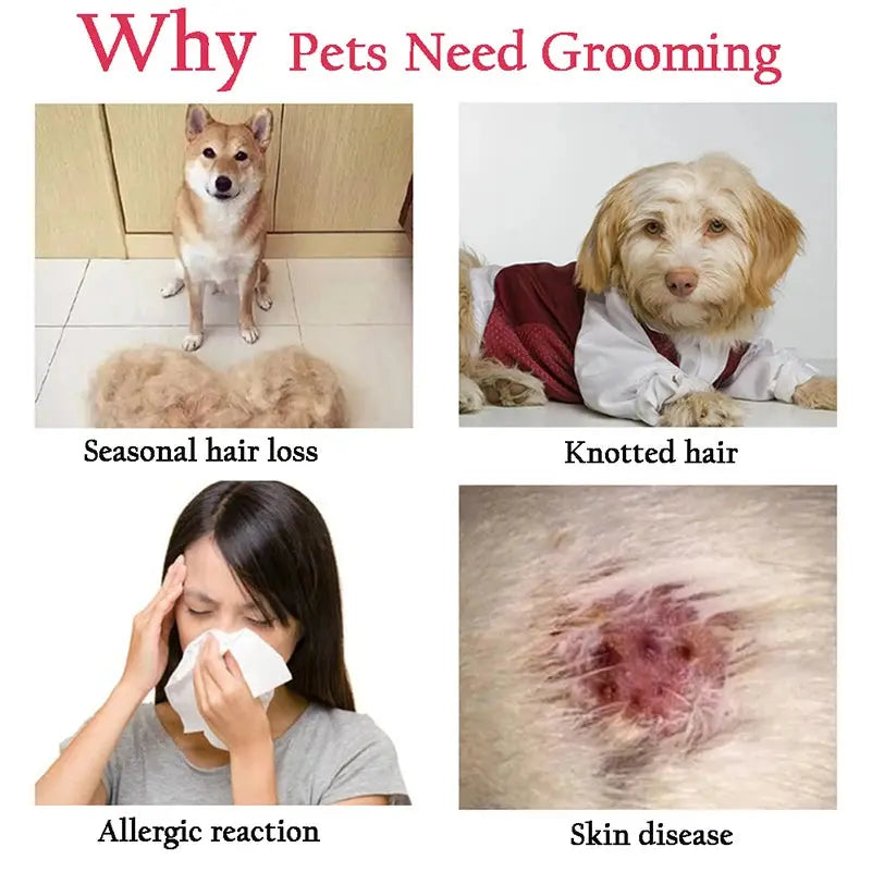 Professional  Dog Hair Remover |  Dogs Grooming WagZeal