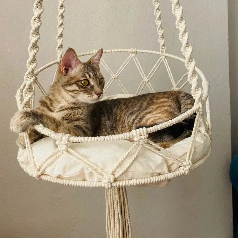 Pet Cat Hammock Swing Bed | Wall Hanging Without Cushion WagZeal