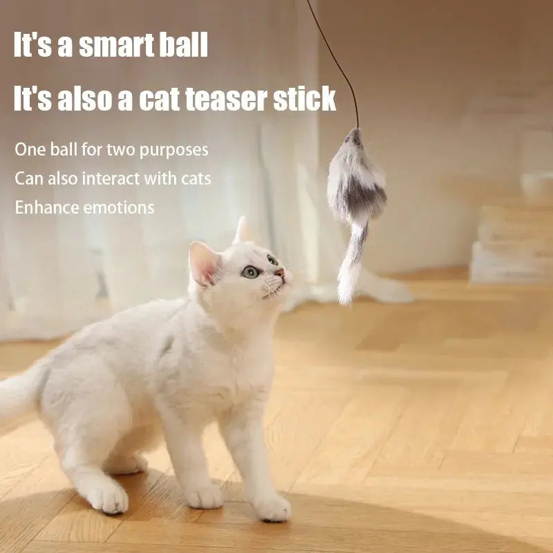 Cat Teaser Ball  | Mouse WagZeal